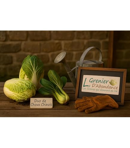 Graines De Chou Blanc Cerox H - Variété Hybride, Récolte En 79 Jours, Têtes Jusqu'à 3 Kg | Pour Jardin Potager, Résistant à La Chaleur Et Fusariose - 6