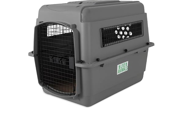 Beeztees Skykennel 3 IATA Caisse de Transport pour Chien de 13,5-22,5 kg Gris