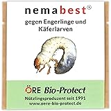 Nemastar Sc Nematoden Zur Bekampfung Von Maulwurfsgrillen Wiesenschnaken Und Erdraupen 50 Mio Fur 100qm Amazon De Garten