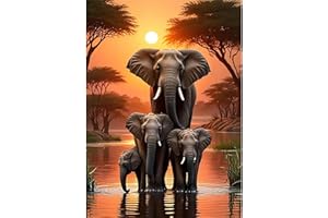 TOSTOG Diamond Painting Kit Adulte,Diamant Painting Images Ronde Diamond Peinture Diamant Adulte 5D DIY Cristal Débutant Art Set pour Décoration Murale Maison 30x40cm