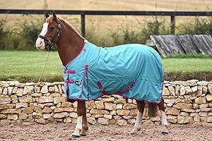 ASTILE EQUESTRIAN Jump Equestrian 50G Fill Horse Turnout Rug Lightweight Standard Neck Horse Rug Waterproof (6'6'', Teal)