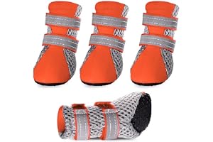 PETZ R US Dog Boots for Small Dogs, Anti Skid Paw Protector for Hot Summer for Maltese, Yorkie, Shih Tzu, Pet Shoes with Reflective Straps, Non-Slip SoleSoft & Lightweight Dog Footwear-Medium-Orange