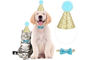 YOUTHINK Hund Geburtstag Hut, Haustier Geburtstagsset mit goldenem Pailletten Hut und Blauem Paillettenknoten mit Verstellbarem Hutseil und Nackeng¨¹rtel f¨¹r die Meisten Hunde Katzen oder Andere