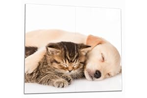 Wallario Herdabdeckplatte/Spritzschutz aus Glas, 2-teilig, 60x52cm, für Ceran- und Induktionsherde, Katze und Hund in Harmonie - Kuschelnde Tiere