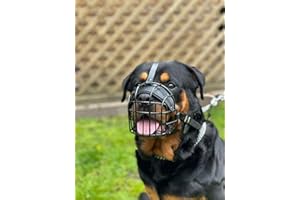 L&J PETS UK Forte museruola in metallo per cani Rottweiler, Mastiff Golden Retriever e altri (R2, nero/pelle nera)