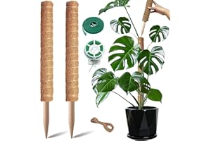 GEBRAZY Monstera Lot De 2 Supports pour Plantes Grimpantes - 40 cm - Facilement Extensible - Aide à l'escalade idéale pour Les Plantes d'intérieur - pour Plantes Grimpantes - Tige De Coco Naturel