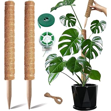 Lot De 4 Tuteurs Pour Plantes Grimpantes - Support Empilable 25 Cm, Plastique Durable, Pour Jardin Et Intérieur - 12