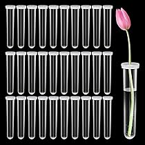 Lot De 20 Tubes à Fleurs Avec Couvercles - Transparents, 10x1,5 Cm, Pour Arrangements Floraux