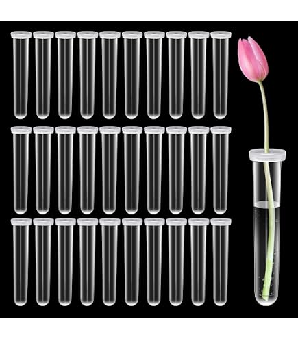 Simsky - Lot De 10 Tubes à Essai Pour Fleurs - 11cm, Transparents, Avec Bouchons