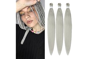 YDDM Pre stretched braiding hair extension 20 pollici 3Packs Capelli per trecce capelli per treccine africane Box Trecce all'uncinetto Treccia Estensioni dei capelli (20 pollici, Silver#)