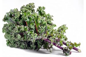 ACQUA TOWER GROWING SYSTEMS Vegetable Plants, Kale 'Red Russian', 8 x Plug Plant Pack, Kale Plants, Garden Veg, Garden Ready and Premium Quality Veg