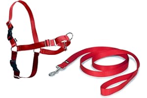 PetSafe Harnais Easy Walk avec Boucle Anti-Traction et Laisse de 1,8 m, Promenade Confortable pour Vous et Lui - 4 Points de Réglage – Résistant, Facile à Mettre et enlever – Rouge, Taille M