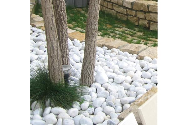 DIELLESHOPPING Galets de marbre ultra blancs, 20 kg, pierres de jardin, différentes tailles (15/25)