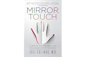 MIRROR TOUCH