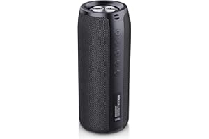 ZEALOT Casse Bluetooth, Portatile Altoparlante con Bassi, Wireless Altoparlanti, Doppio Accoppiamento, 24 ore di riproduzione, Bluetooth 5.0, 20W Dual Driver per feste in casa, Viaggi