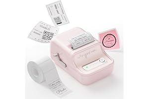 NIIMBOT B21 étiqueteuse portative,Imprimante d'étiquettes Autocollant Thermique sans Encre,avec 50x30mm Étiquettes pour la Maison, la Cuisine, l'école et Le Bureau