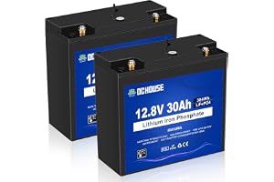 DCHOUSE 2 stycken 12V 30Ah LiFePO4 batteri, litiumbatteri, uppladdningsbart med 3 000 gånger djupcykel och BMS-skydd för sign