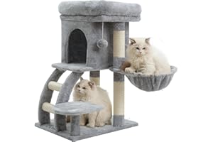 Heybly Arbre à Chat, Petit Griffoir pour Chat de 75 cm de Hauteur avec Plateforme Supérieure, Tanière, Hamac, Échelle d'escalade, Jouets Félins, Meuble pour Chats, Gris Clair HCT009SW