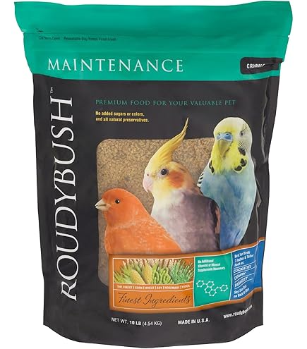 FOIBURELY 5 Pcs Solid Parrot Plastic Eggs Hatching Eggs Mini Macaw Amazon Cockat