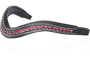 EXIONPRO Exion Frontal pour Bride de Cheval Anglais | Frontal rembourré de Forme incurvée pour Spectacle et Dressage | Frontal en Cristal Siam pour Chevaux