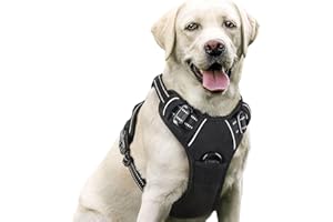 ABRVUAHM Dog Harness Medium Large Dog No Pull Pet Harness with 2 Leash Clips, Adjustable Comfort Dog Vest Harness, Reflective Harness for Training Walking Outdoor, Black, L