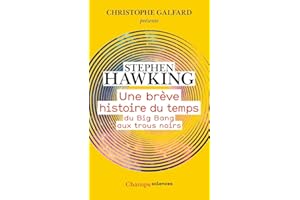 Une brève histoire du temps: Du Big Bang aux trous noirs
