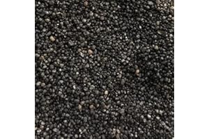 Askoll Aa210002 Pure Sand Midnight Sabbia Nera Fine per Fondale Acquario