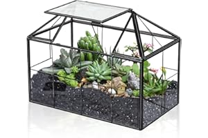Ferrisland Air Plant Terrarium Glass - House Succulent Glass Terrarium Large Geometric Planter with Lip for Succulent Fern Air Plant Tabletop DIY Gift - Miniature Greenhouse