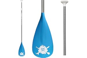 FunWater Pagaie de Sup Paddle