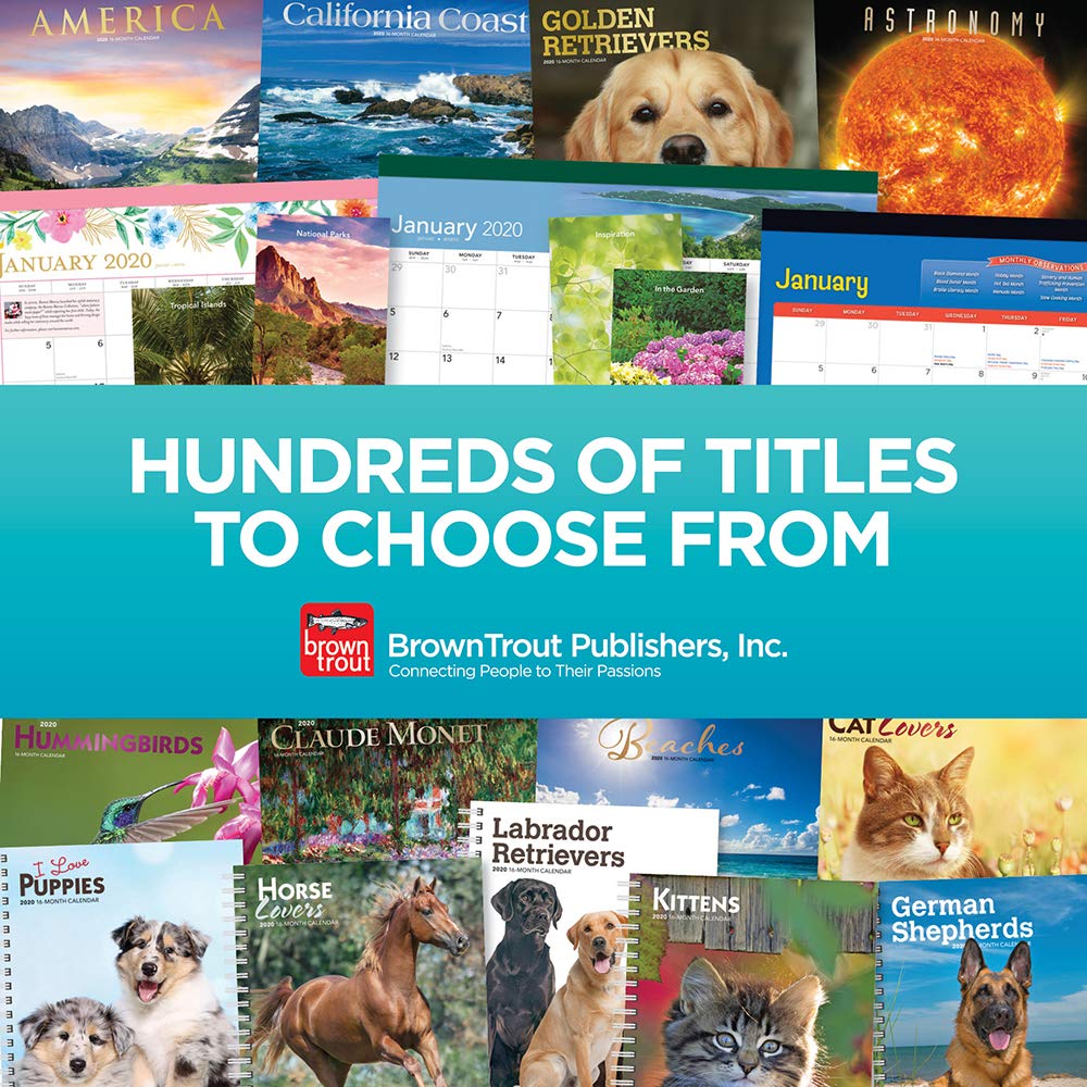 Australian Kelpies 2020 Square Wall Calendar Dogs.co.uk