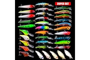 CHAWHO Wobbler Kunstköder Set 50 Stück Wobbler Köder für Hecht Forelle Zander Barsch Dorsch Forelle - Raubfisch Wobbler Angelköder Set für Süßwasser-Salzwasser-Fischen