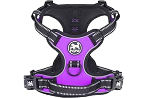 PoyPet No Pull Dog Harness, Reflective Vest Harness with 2 Leash Attachments and Easy Control Handle for Small Medium Large Dog(Purple,S)