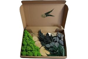 GENERIC Hello Moss Moos zum Basteln - Satz Bestehend aus Islandmoos Premium, Hölzerne Riemenscheiben, Farne und Eukalyptus - Konserviertes Moos Lebend - Moosbild DIY Set