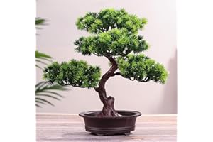 VERVE JELLY Pianta artificiale, alberi artificiali decorativi Simulazione di pino Pianta in vaso, Decorazione di piante finte Piante da serra in vaso per la decorazione del giardino di casa Display da tavolo