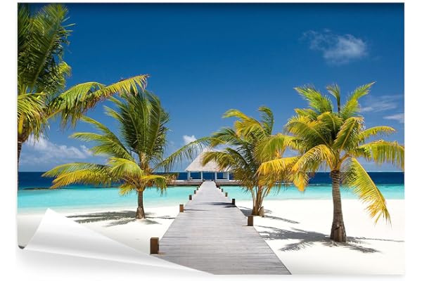 decomonkey - Papier Peint Panoramique Plage Mer 350x256 cm - Décoration murale moderne – Tapisserie décorative pour chambre salon - Bois arbres paysage mer ciel palmiers îles tropicales