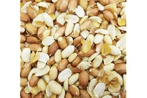 12.5 kg Dawn Chorus Peanuts For Wild Birds