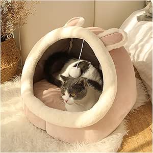 frisco foldable canopy cat bed
