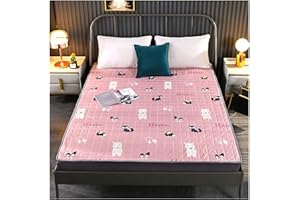 HXOITY Colchón Plegable Enrollable Para Dormitorio De Estudiantes Colchoneta De Dormir Tatami Colchón De Futón Japonés Suave Que No Se Desliza Almohadilla Para Cama En El Piso ( Color : F , Size : 180 x 200