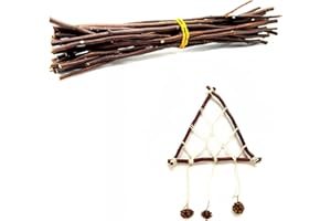 ZAHD 25pcs Naturale Di Betulla Ramoscelli Artigianato Fai da Te Ramoscelli Decorativi Oggetti decorazione Ramoscelli Artigianato Decorativi Bastoncini Oggetti Per il fai da te (lunghezza 30 cm)