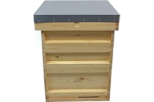 EASIBEE National Pine Bee Hive Starter Kit with Super Brood Frames and Wax Beehive