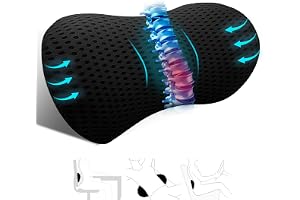 kasney Lumbar Support Pillow Ergonomic Memory Foam Lumbar Pillow, Relieve Back Pain, CMFY Breathable & Detachable & Washable, Neo Cushion Lower Back Pillow for Office Chairs, Car Seats (Black)