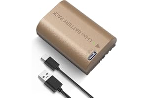 Neewer Akumulator zastępczy 2200 mAh LP-E6P LP-E6 LP-E6N LP-E6NH, w pełni naładowany w 3,3 H, kompatybilny z Canon EOS R5 Mark II EOS R5 EOS R6 EOS R7 EOS R 5D II III IV 6D 6D II 7D 7D II 60D 70D 80D