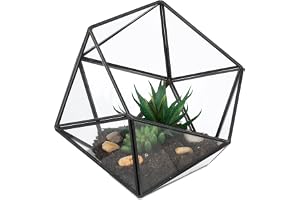 Relaxdays växtterrarium, glas och zink, svart | dekorativt glashus för kaktusar och mossa, öppen glaslåda för fönsterbänk