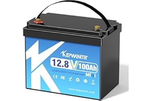 KEPWORTH Batterie Lithium 12V 100Ah MINI, Batterie LiFePO4 en Petite Taille avec 100A Protection BMS et 4000-15000 Cycles Profonds, sans Entretien Parfait pour Camping-Car, Système Solaire, Bateaux