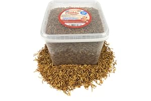 Chubby Mealworms (10 Litres), Dried Mealworms For Wild Birds, Protein Rich Meal Worms, High Energy for Birds, Reptiles, Gecko, (approx 1.85kg)
