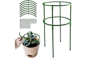 Pflanzenstütze Pfahl Garten Blumenstütze Pflanzenstütze Ring Pflanzen Klettergitter Plant Sticks Support Plant Stakes für Pflanzen Blumen Gemüse, Rose, Tomate, Lilie, Hortensie (Grün)