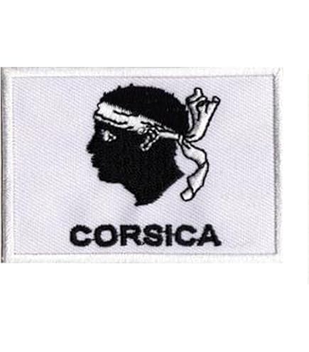 PATCH ECUSSON IMPRIME Camo Camouflage Drapeau Fleur De Lys Bleu France EUR 5,23 - FR
