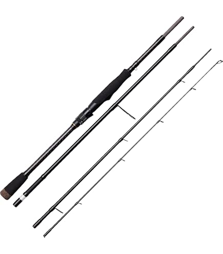 Canne à Spinning Daiwa Morethan Wisemen AGS 90L 2,74m - Haut De Gamme Japon, 5-24g
