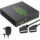 LiNKFOR Scart vers HDMI Convertisseur SCART+HDMI vers HDMI Convertisseur Adaptateur HDMI vers HDMI Converter Support 480i(NTS