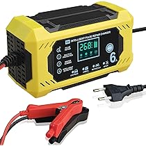 AGSYFFD Caricabatteria Intelligente 12V/6A Con Display LCD – Compensazione Temperatura E Riparazione Batterie